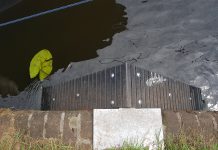 Stadsdeel helpt eendjes een handje