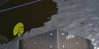 Stadsdeel helpt eendjes een handje