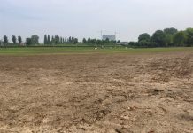 ‘Woestijn’ in Westerpark moet over twee weken weer groen zijn