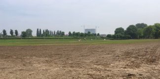 ‘Woestijn’ in Westerpark moet over twee weken weer groen zijn