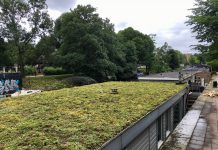 Steeds meer kades kleuren groen