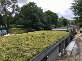Steeds meer kades kleuren groen
