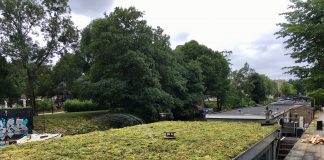 Steeds meer kades kleuren groen