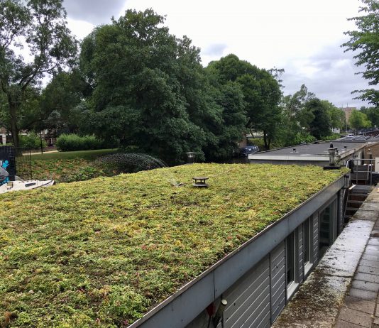 Steeds meer kades kleuren groen