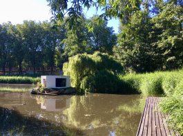 Kunstwerk moet weg uit Erasmuspark