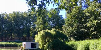 Kunstwerk moet weg uit Erasmuspark