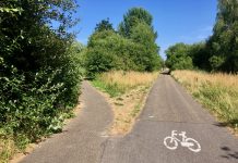 Veel plannen voor ‘laatste groene wildernis’