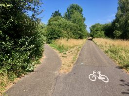 Veel plannen voor ‘laatste groene wildernis’