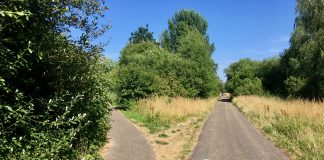 Veel plannen voor ‘laatste groene wildernis’