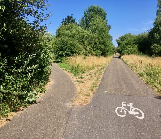 Veel plannen voor ‘laatste groene wildernis’