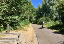 Zwerftocht met boswachter door stadswildernis De Lange Bretten