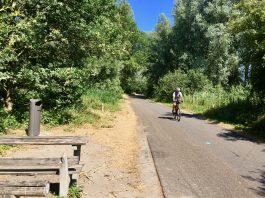 Zwerftocht met boswachter door stadswildernis De Lange Bretten