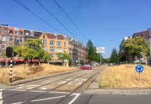 Groen in West lijdt zwaar onder droogte