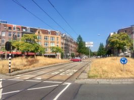 Groen in West lijdt zwaar onder droogte
