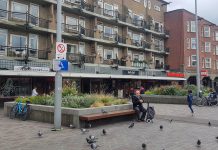 Voor al die duiven is er nu maar één piepklein stukje brood