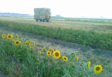 Tentenkamp tegen bouw in Lutkemeerpolder