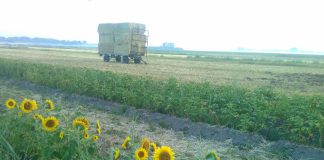 Tentenkamp tegen bouw in Lutkemeerpolder