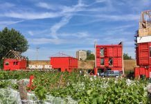 Wijnbouwers gezocht voor Sloterdijk