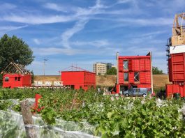 Wijnbouwers gezocht voor Sloterdijk