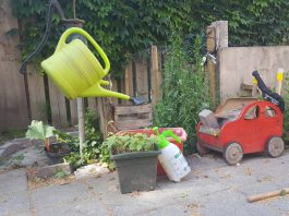 West wil binnentuinen klimaatbestendiger maken