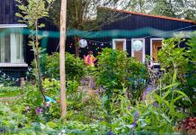 Senang in nieuwe stadsoase