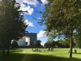 Eendrachtspark krijgt festival