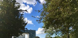 Eendrachtspark krijgt festival