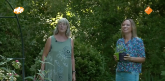 Omroep Max in Sloterdijkermeer