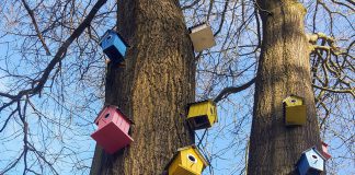 West Begroot oogst 45 plannen (tot nu toe)