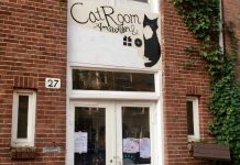 Massage nu ook met kat op schoot