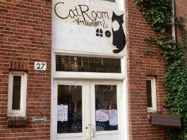 Massage nu ook met kat op schoot