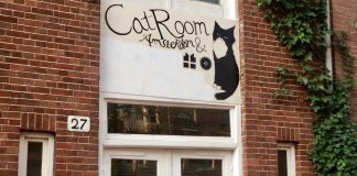 Massage nu ook met kat op schoot