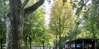 Terrasmus blijft nu ook deel winter open