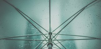 ‘Blauw-groene daken’ voor Bellamybuurt en Geuzenveld