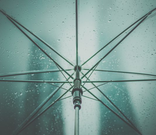 ‘Blauw-groene daken’ voor Bellamybuurt en Geuzenveld