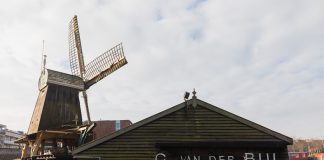 Kerstmarkt voor de buurt bij molen De Otter
