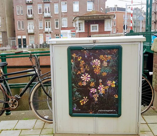 Beelden uit de ‘wondertuin’ door heel West