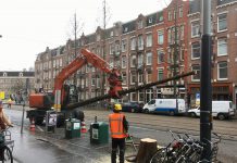 Bomen gekapt in Frederik Hendrikstraat