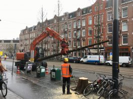 Bomen gekapt in Frederik Hendrikstraat