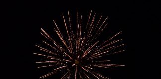 PvdD: geen Koningsdag-vuurwerk aan de Sloterplas