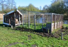 Bijenpaleis Westerpark opgeknapt