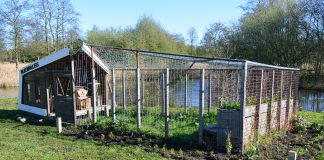 Bijenpaleis Westerpark opgeknapt