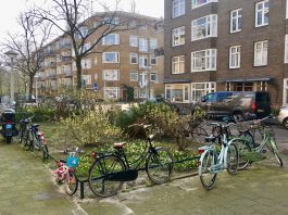 Lanseloetstraat schoonste straat van BoLo