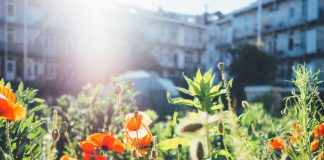 Alvast voor in je agenda: Open Tuinen van West