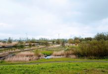 Wandelen door De Bretten met een podcast en de NS-wandelroute