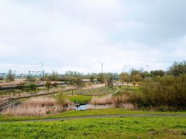 Make-over natuurgebied De Bretten krijgt meer vorm