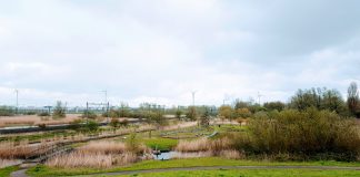 Wandelen door De Bretten met een podcast en de NS-wandelroute