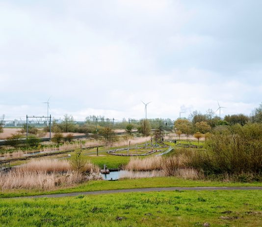 Make-over natuurgebied De Bretten krijgt meer vorm