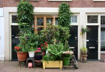 Gratis nieuw boomparkje voor de deur