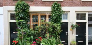 Gratis nieuw boomparkje voor de deur